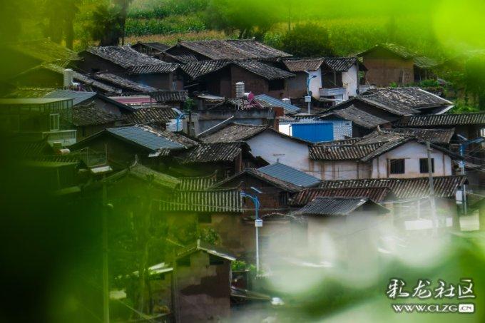 大炮篮球3选关版