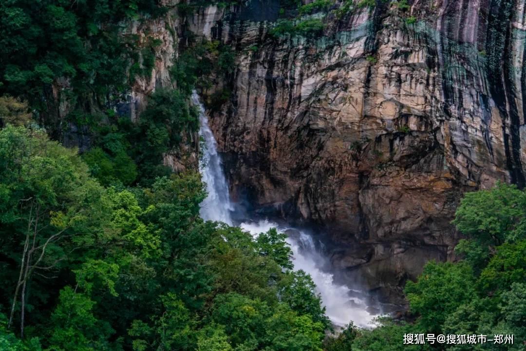 春雨直播app